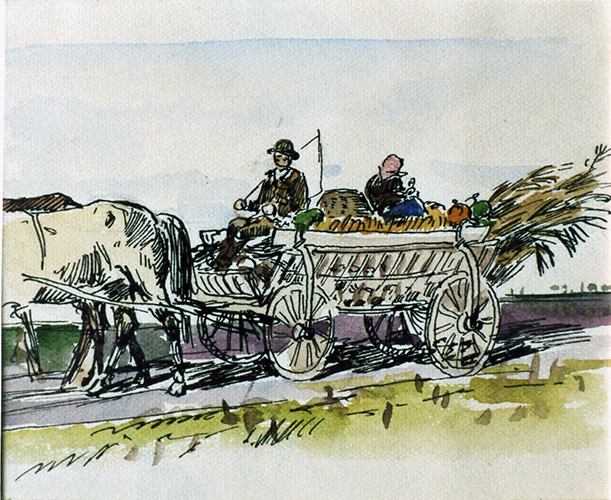 Kukuruzwagen