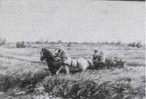 Datei:ART 1130 4.jpg