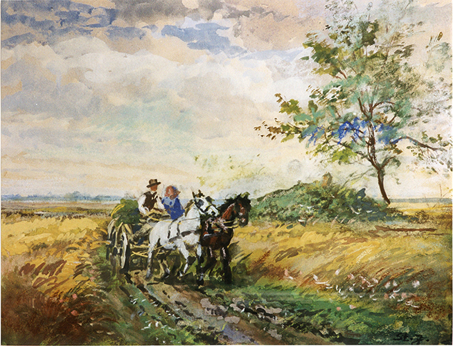 Pferdewagen am Hotterhügel