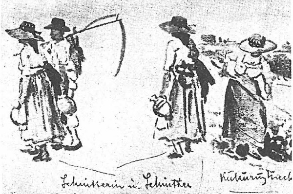 Datei:ART 0173 2.jpg