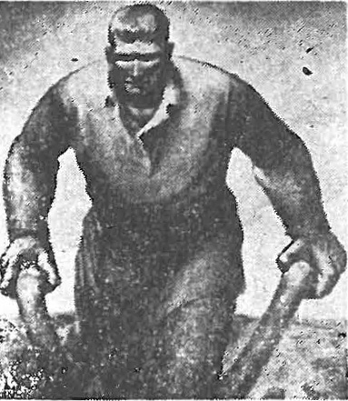 Datei:ART 0219 2.jpg