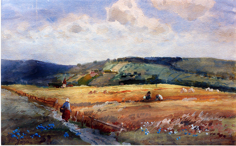 Hügellandschaft mit Weizenfeld