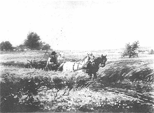 Datei:ART 0358 1.jpg
