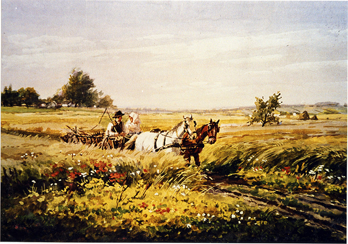 Weizenflur mit Pferdewagen