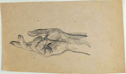 Handstudie