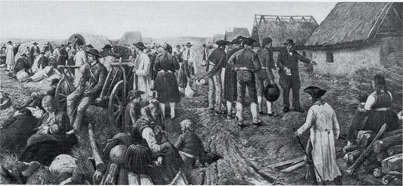 Datei:Art 1203 3.jpg