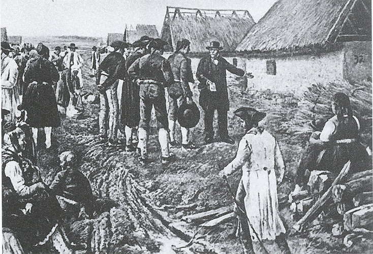 Datei:Art 1209 2.jpg