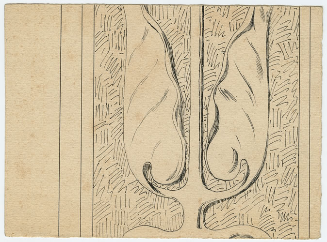 Dekor