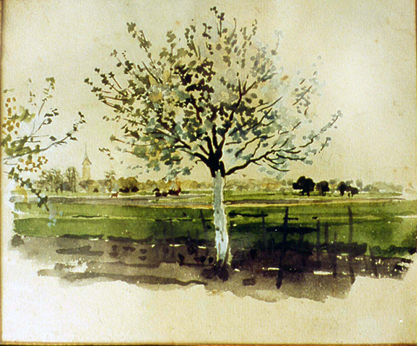 Blühender Baum
