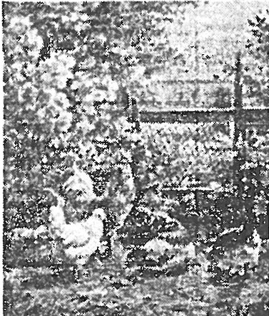 Datei:Art 0052 1.jpg