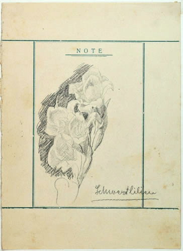 Schwertlilie