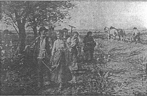 Datei:ART 0546 2.jpg