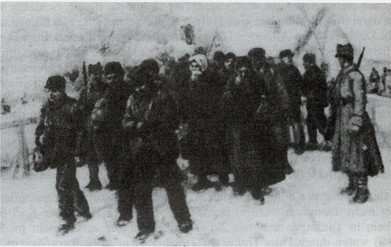 Datei:Art 1214 1.jpg