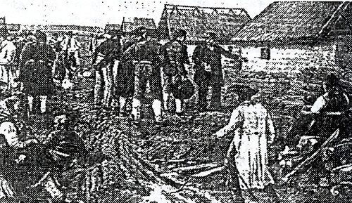 Datei:ART 0519 1.jpg