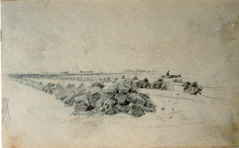 Datei:WK 1575.jpg