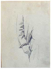 Handstudie mit Ärmel
