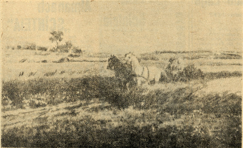 Datei:ART 1003 1.jpg