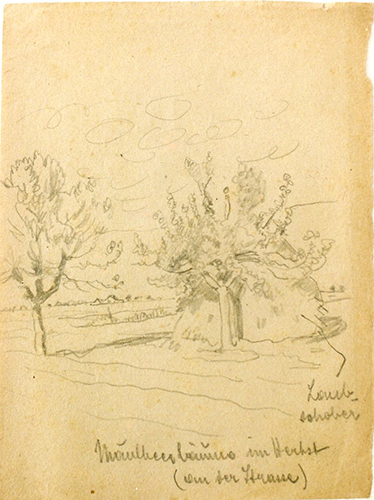 Maulbeerbäume im Herbst