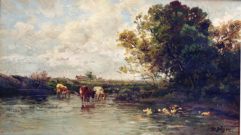 Kühe an der Kaul
