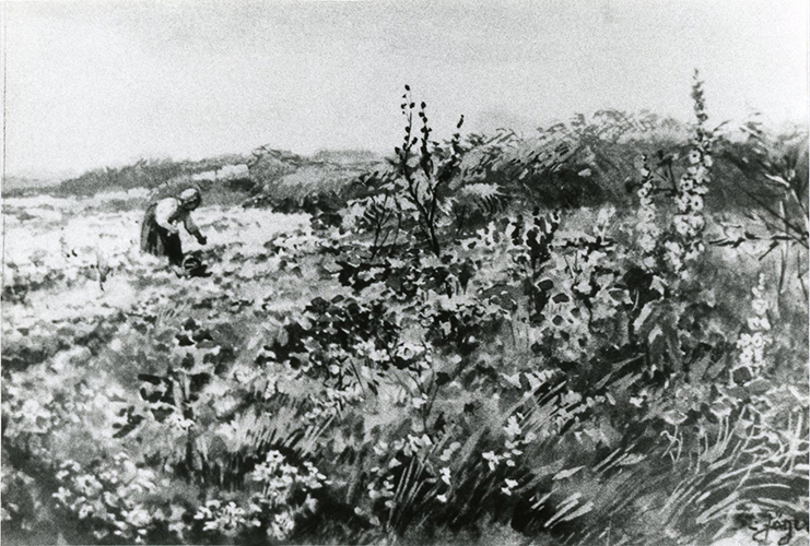 Datei:ART 0514 A.jpg