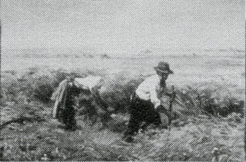 Datei:ART 1130 3.jpg