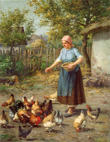 Frau füttert Hühner