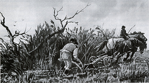 Datei:Art 1216 2.jpg