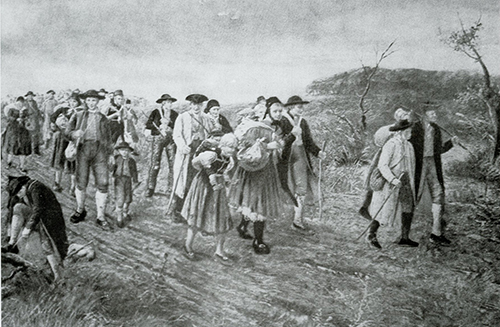 Datei:Art 1241 1.jpg