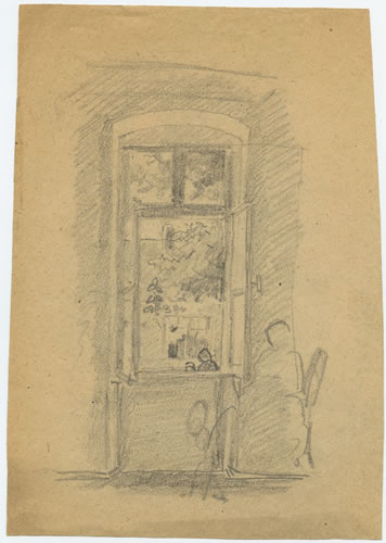 Spinnen am offenen Fenster