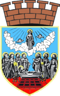 Wappen Zrenjanin.png