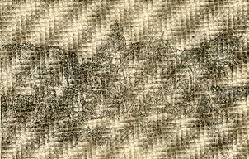 Datei:ART 0179 3.jpg