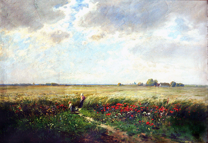 Reifendes Ährenfeld