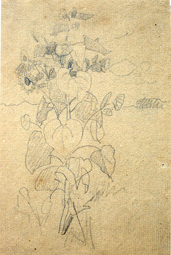 Datei:WK 1570.jpg
