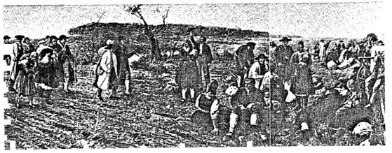 Datei:Art 0350 1.jpg