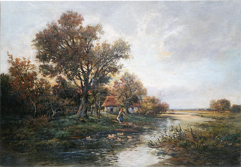 Auenland am Wasserlauf