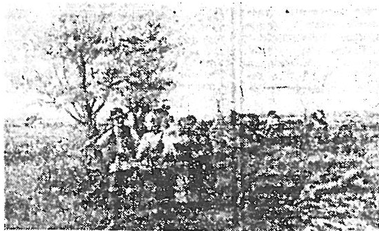 Datei:Art 0052.jpg