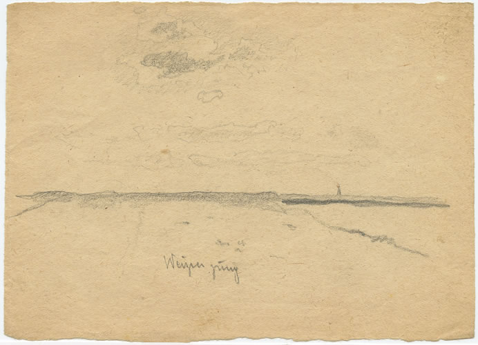 Flurlandschaft, junger Weizen