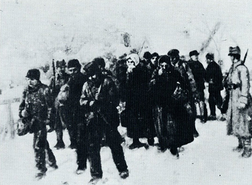 Datei:ART 0265 3.jpg