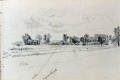 Kleefeld mit Straßenbäumen - WK:1822