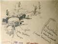Kürbis auf dem Feld - WK:1557
