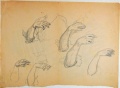 Handstudien - WK:1865