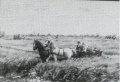 ART 1130 4.jpg