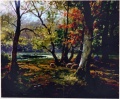 Herbstwald, weidende Schafe - WK:1739