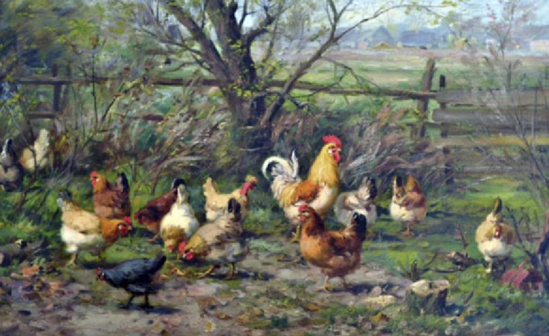 Datei:ART 0932 5.jpg