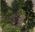 Fichtenwald - WK:2006