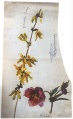 Forsythienzweig und Schneerose - WK:1275