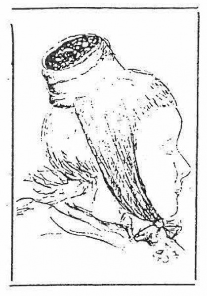 Datei:ART 0235 1.jpg