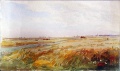 Reife Weizenflur - WK:1926
