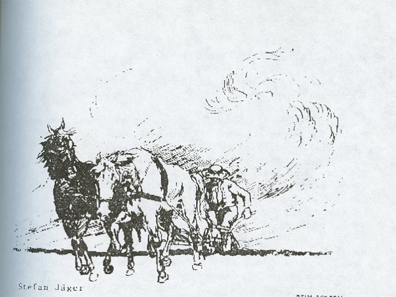 Datei:Art 1215 1.jpg