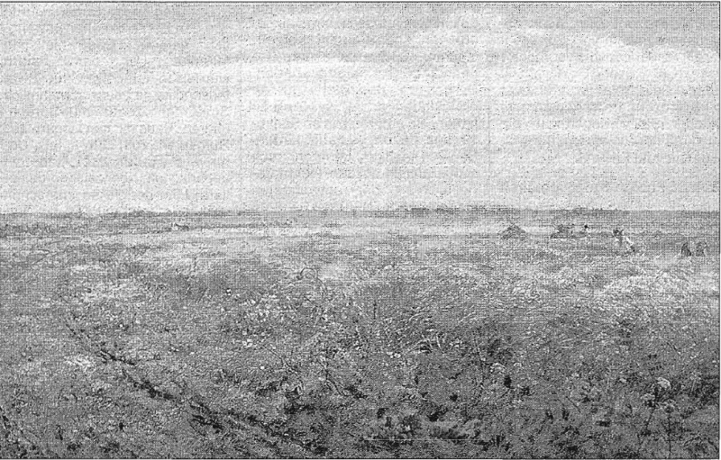 Datei:ART 0571.jpg